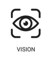 Vision
